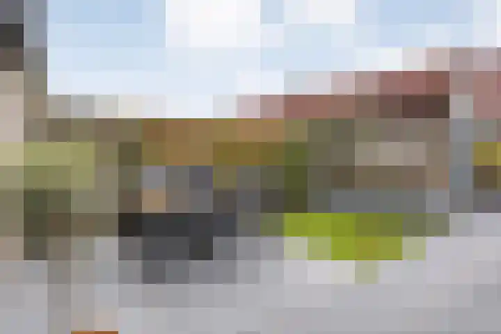 Eekhoornveld 38 Zwolle thumbnail 34