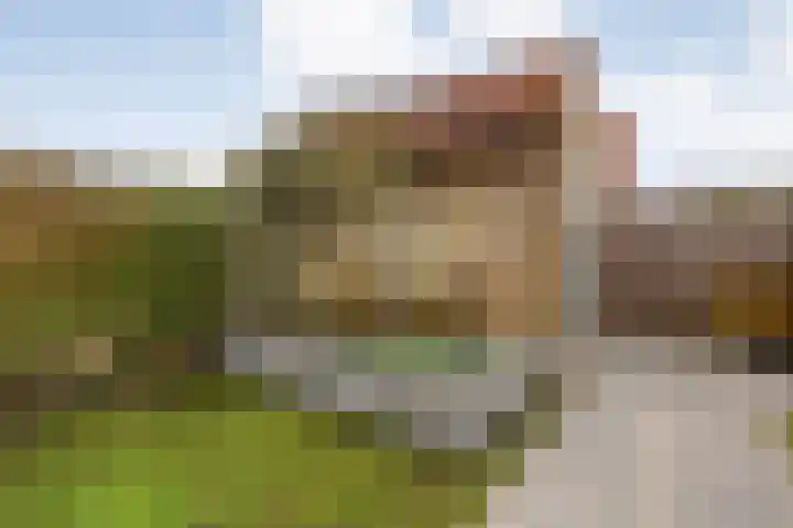 Eekhoornveld 38 Zwolle thumbnail 36