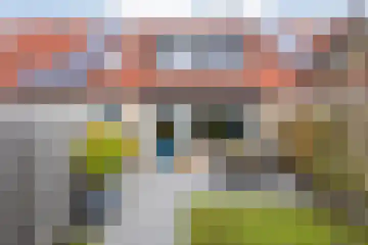 Eekhoornveld 38 Zwolle thumbnail 37