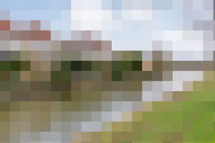 Eekhoornveld 38 Zwolle thumbnail 4