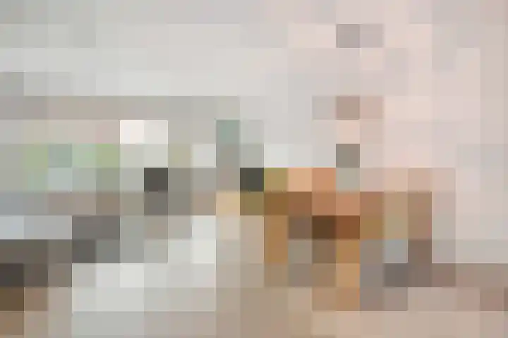 Eekhoornveld 38 Zwolle thumbnail 8