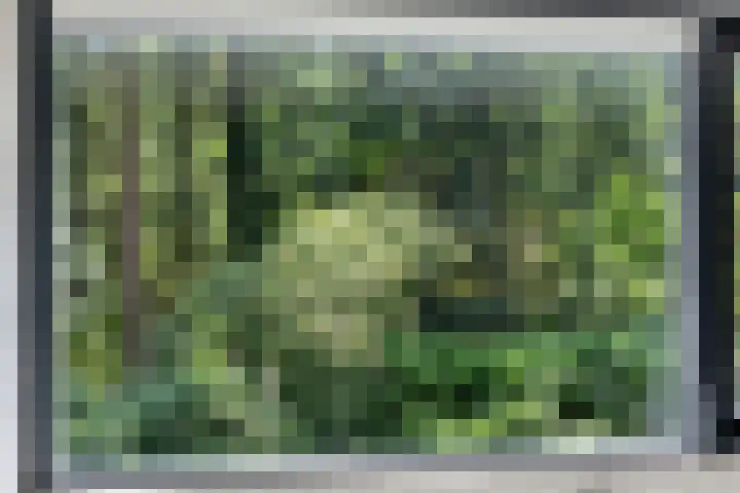 Eekhoornweg 10 Epe thumbnail 41