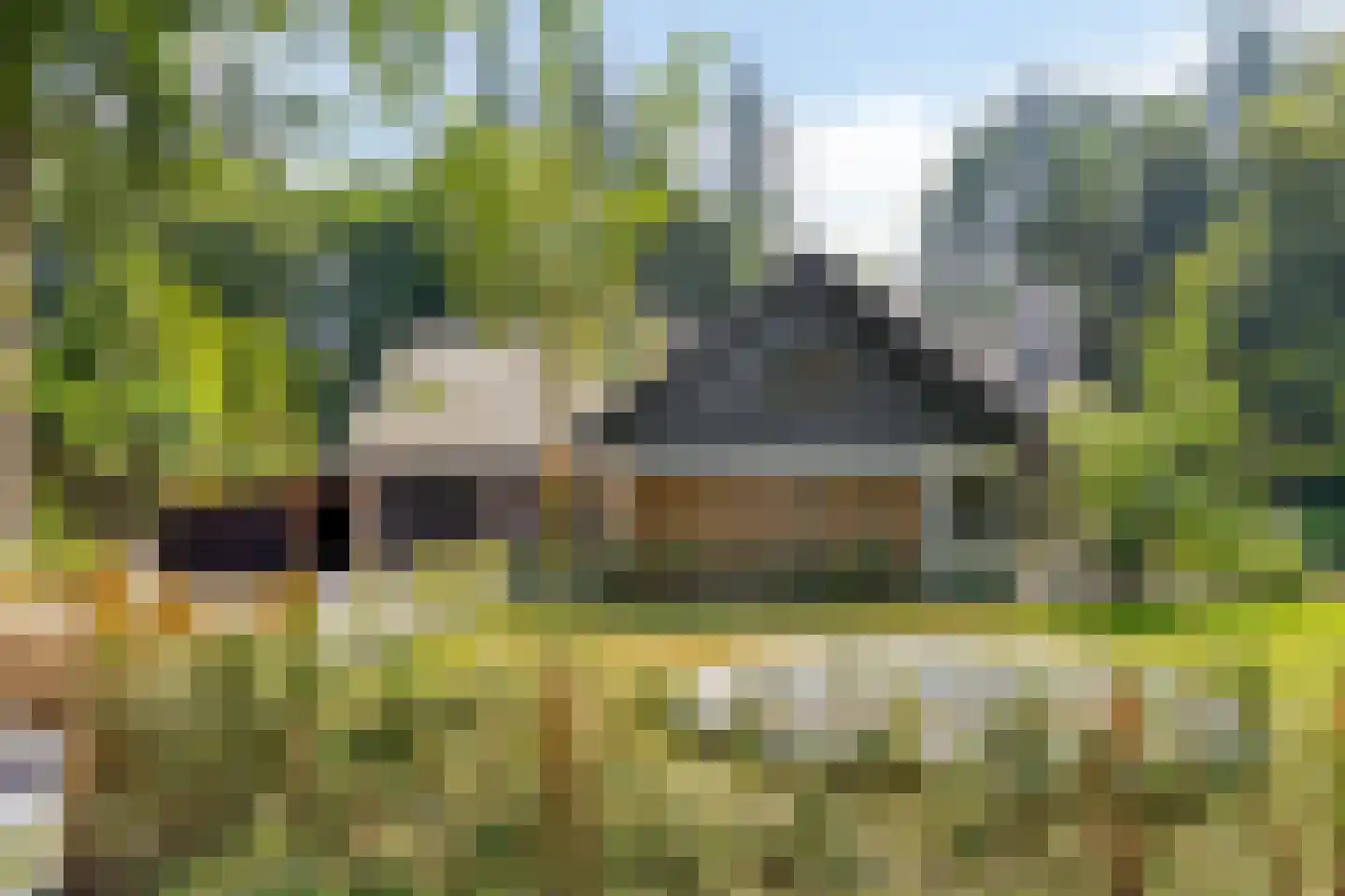 Eekhoornweg 10 Epe thumbnail 5