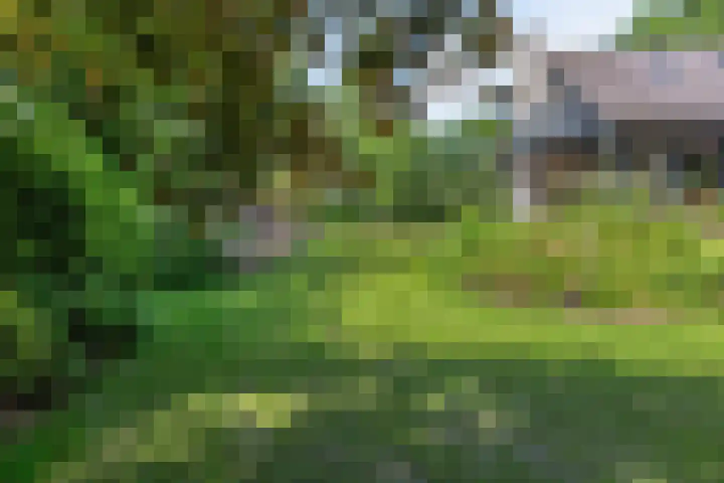 Eekhoornweg 10 Epe thumbnail 50