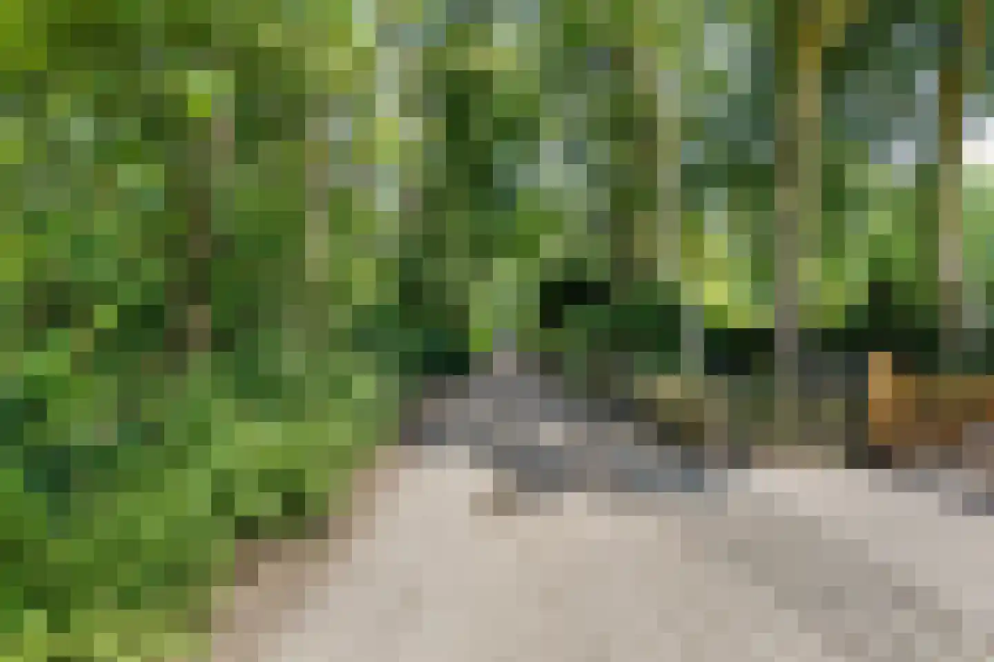 Eekhoornweg 10 Epe thumbnail 54