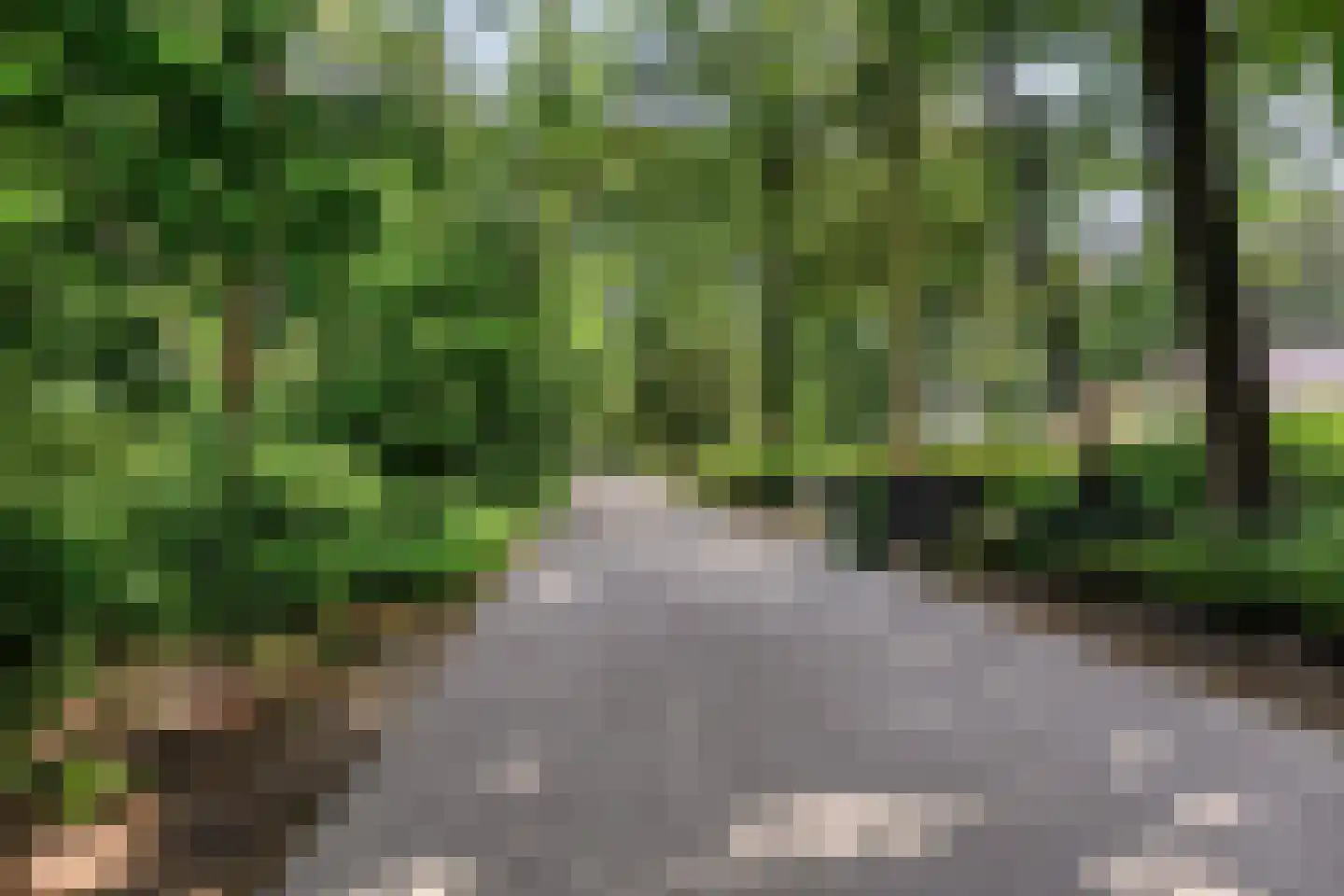Eekhoornweg 10 Epe thumbnail 55