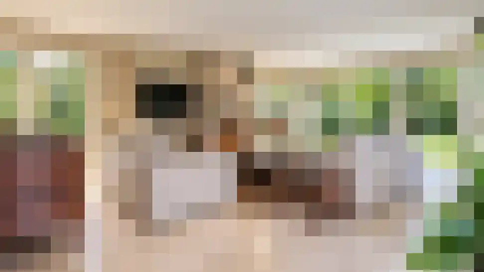 Eekhoornweg 10 Epe thumbnail 7