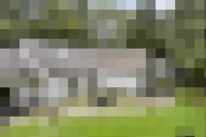 Eekhoornweg 15 Epe thumbnail 56