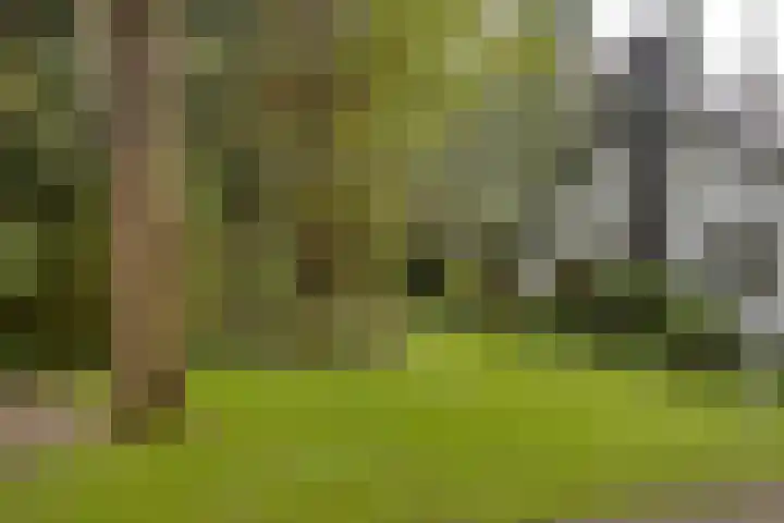 Eekhoornweg 15 Epe thumbnail 7