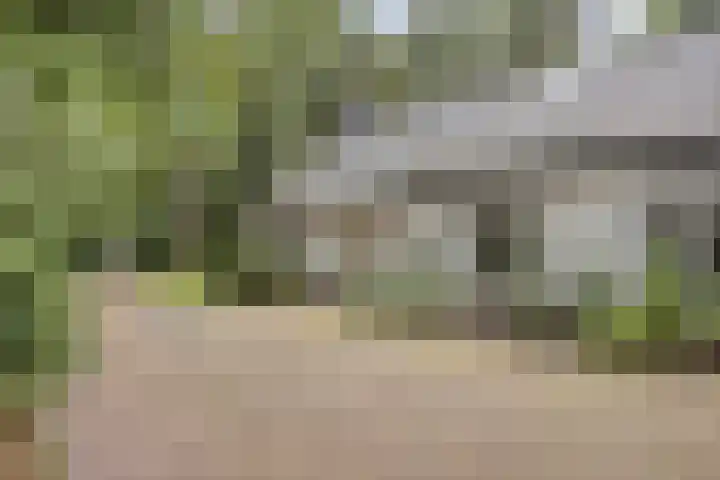 Eekhoornweg 15 Epe thumbnail 9