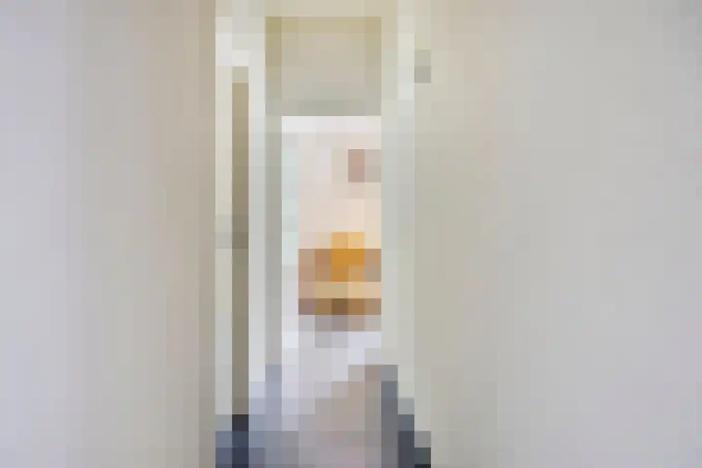 Eekhoornweg 2 Epe thumbnail 11