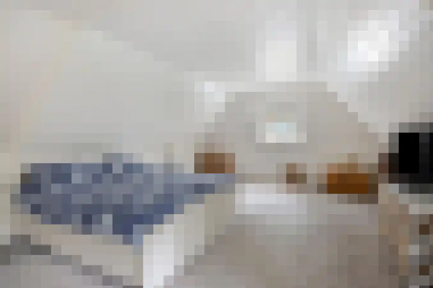 Eekhoornweg 2 Epe thumbnail 21