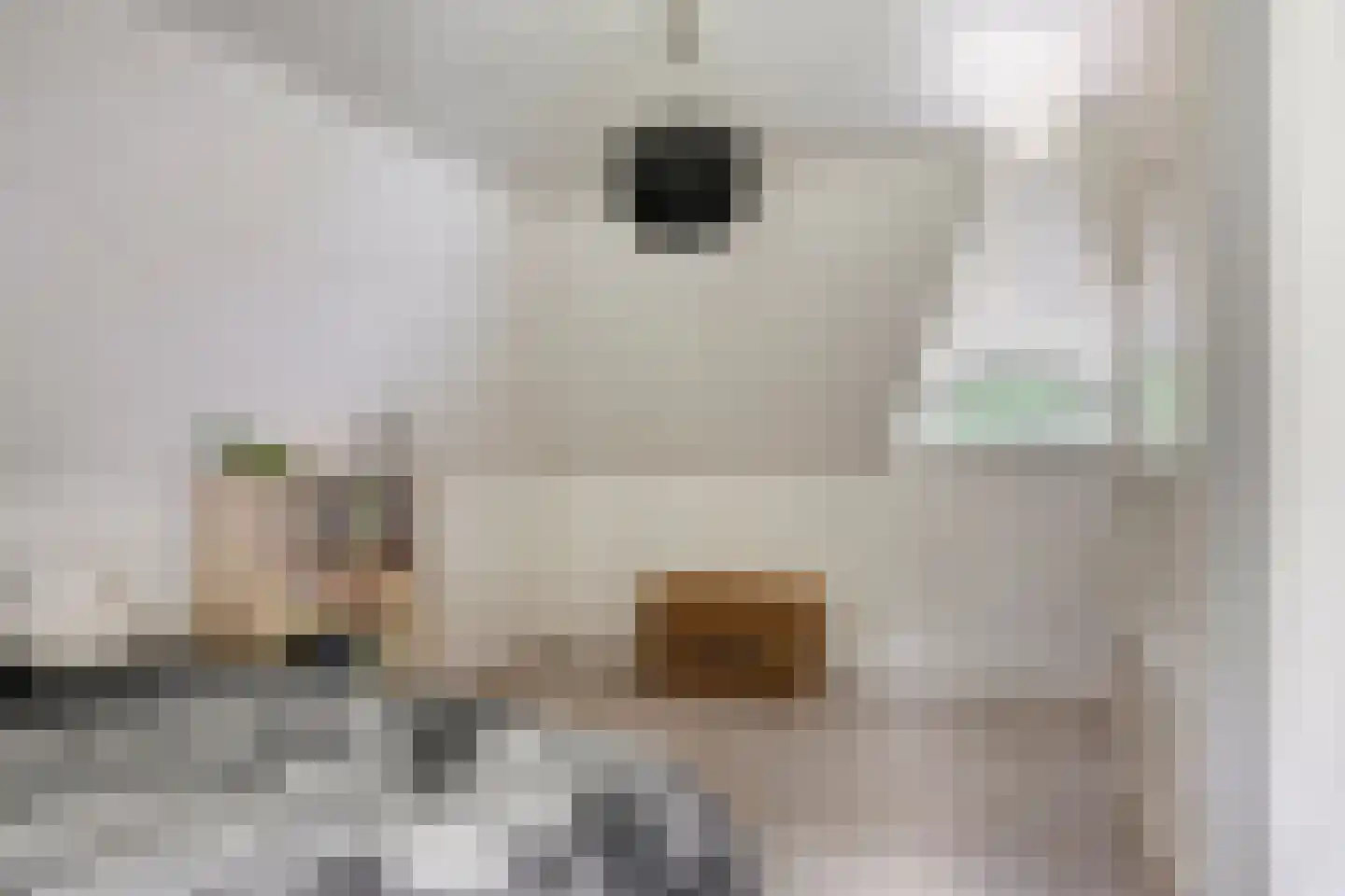Eekhoornweg 2 Epe thumbnail 23