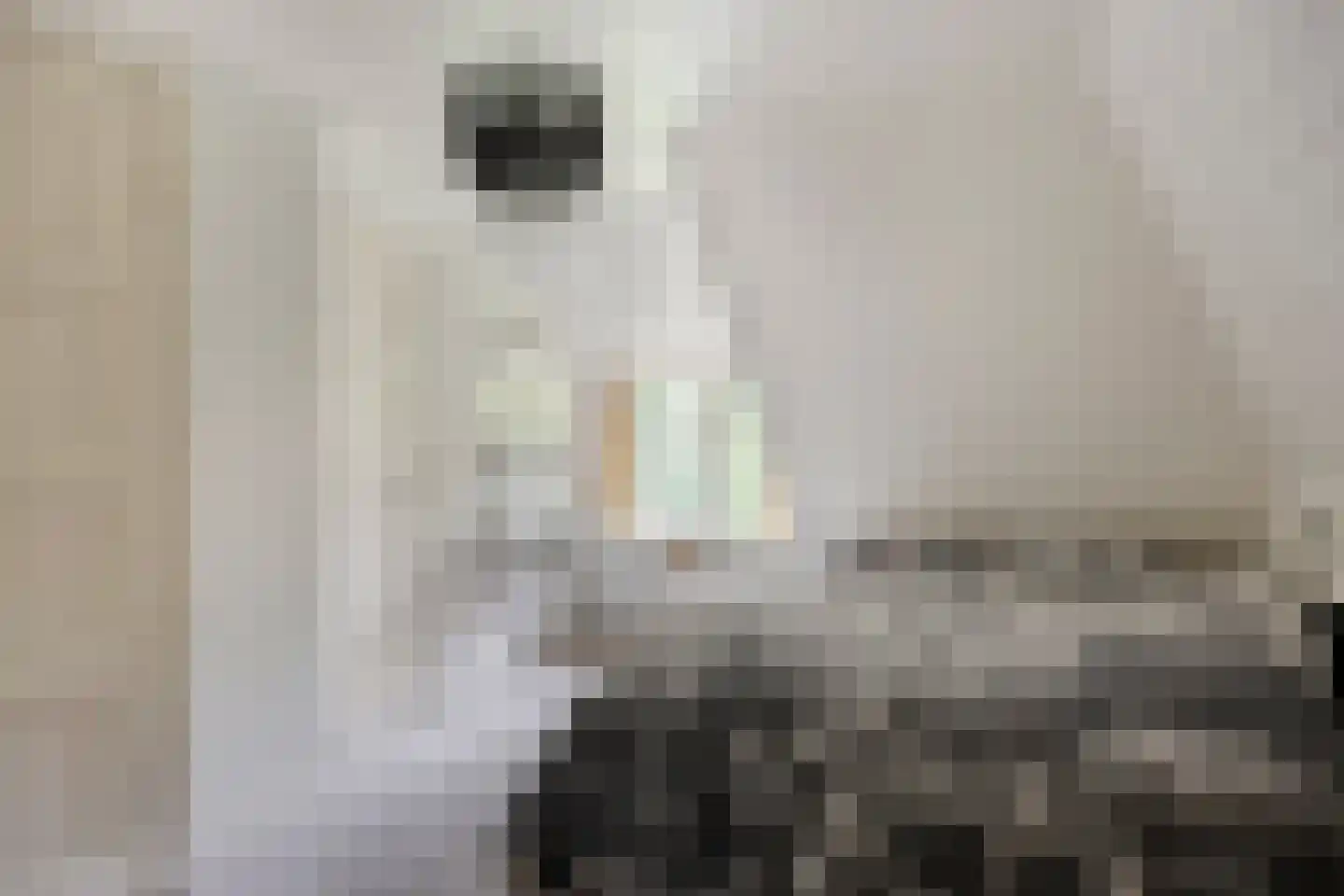 Eekhoornweg 2 Epe thumbnail 24