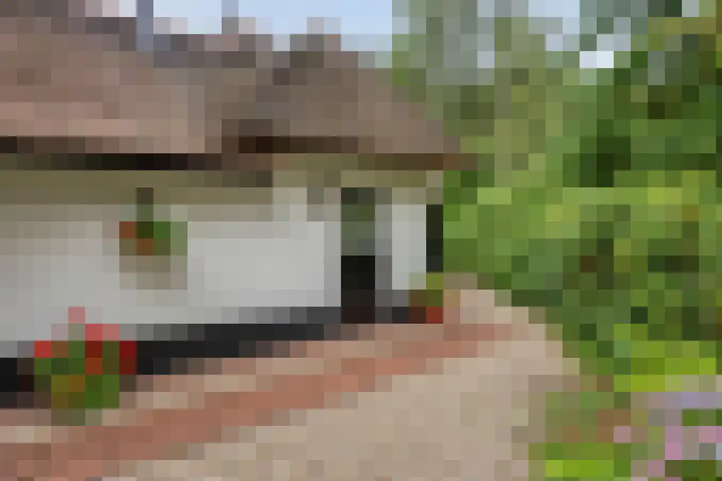 Eekhoornweg 2 Epe thumbnail 28