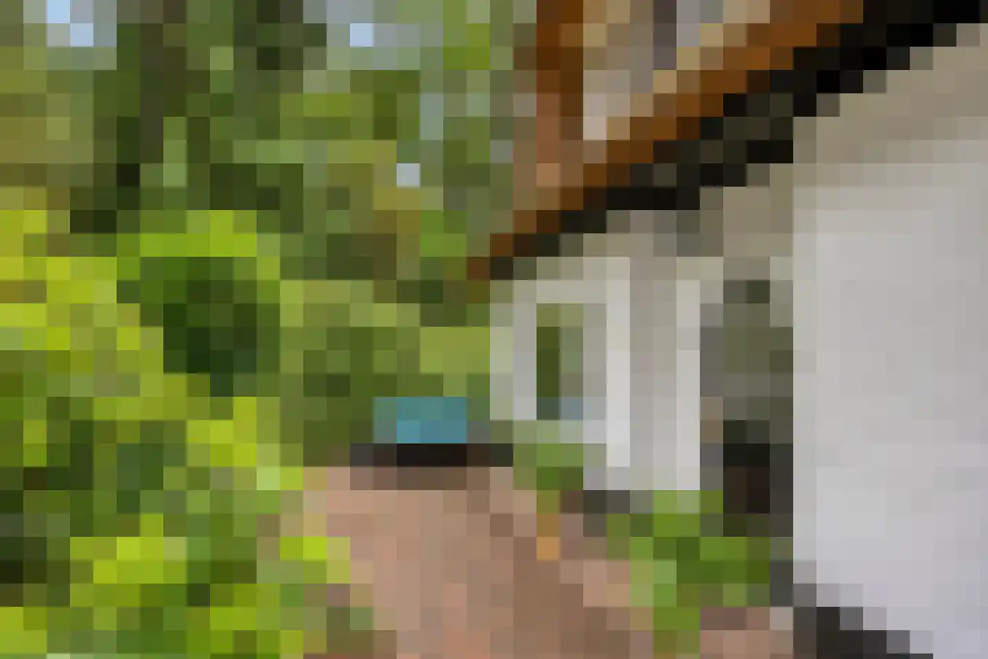 Eekhoornweg 2 Epe thumbnail 29