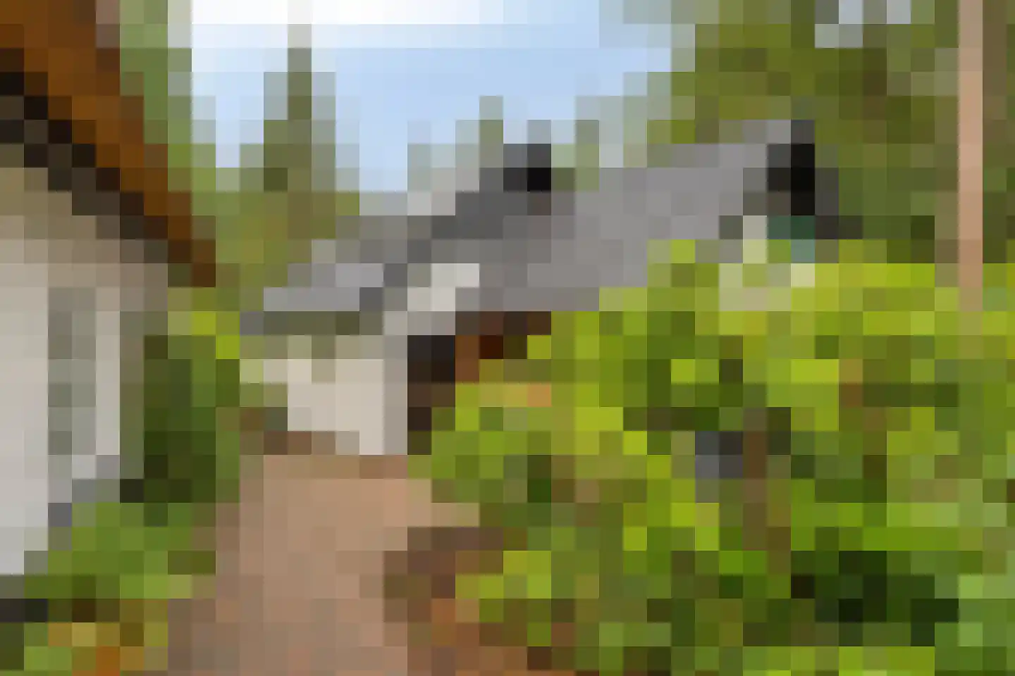 Eekhoornweg 2 Epe thumbnail 30