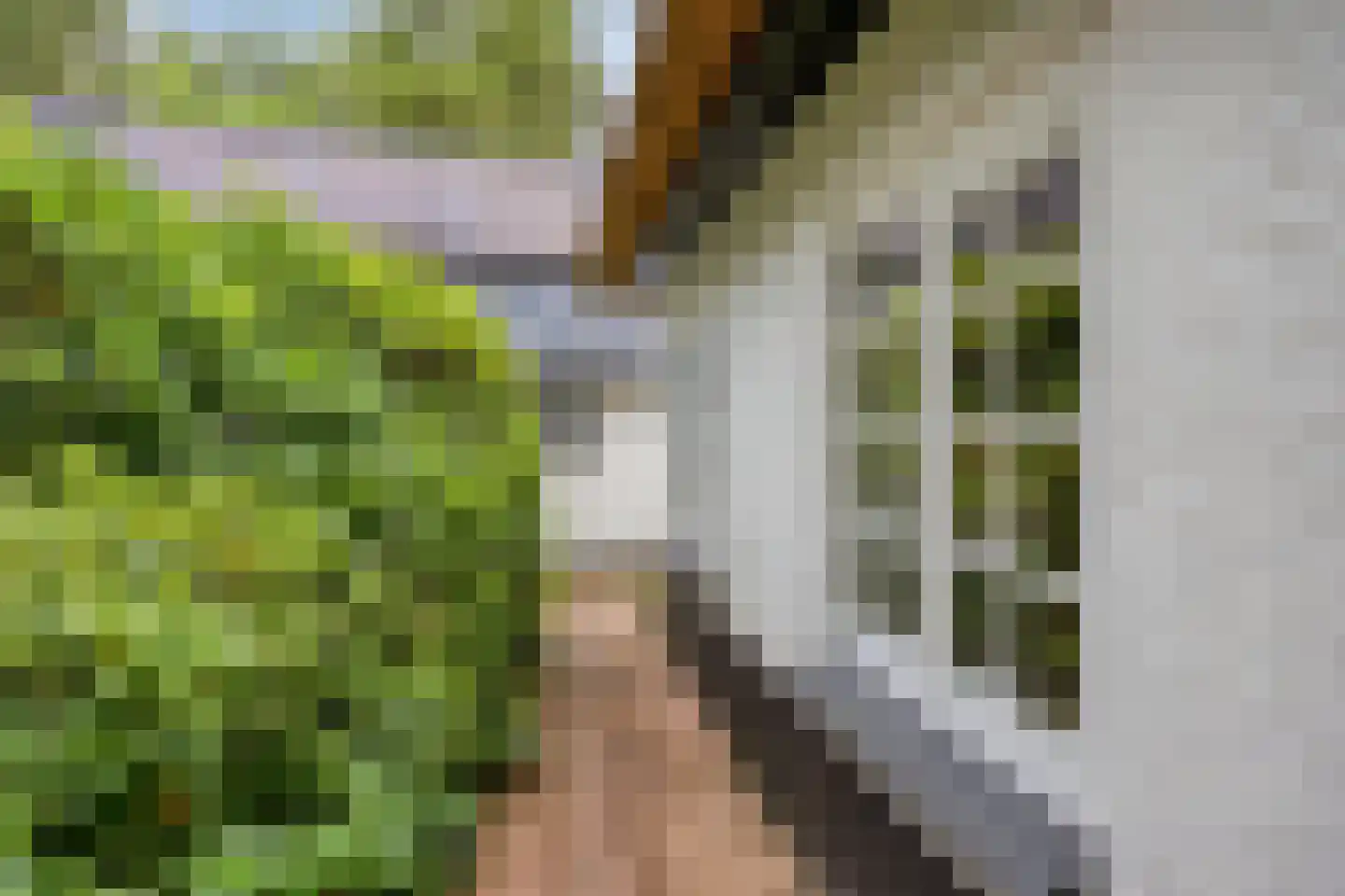 Eekhoornweg 2 Epe thumbnail 31