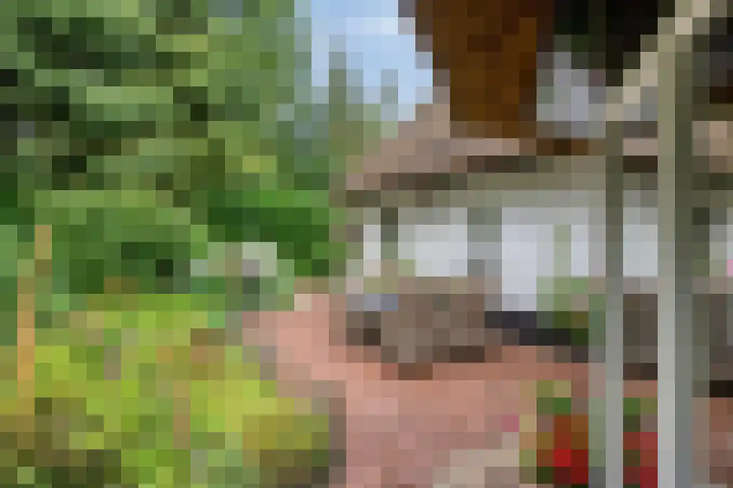 Eekhoornweg 2 Epe thumbnail 32