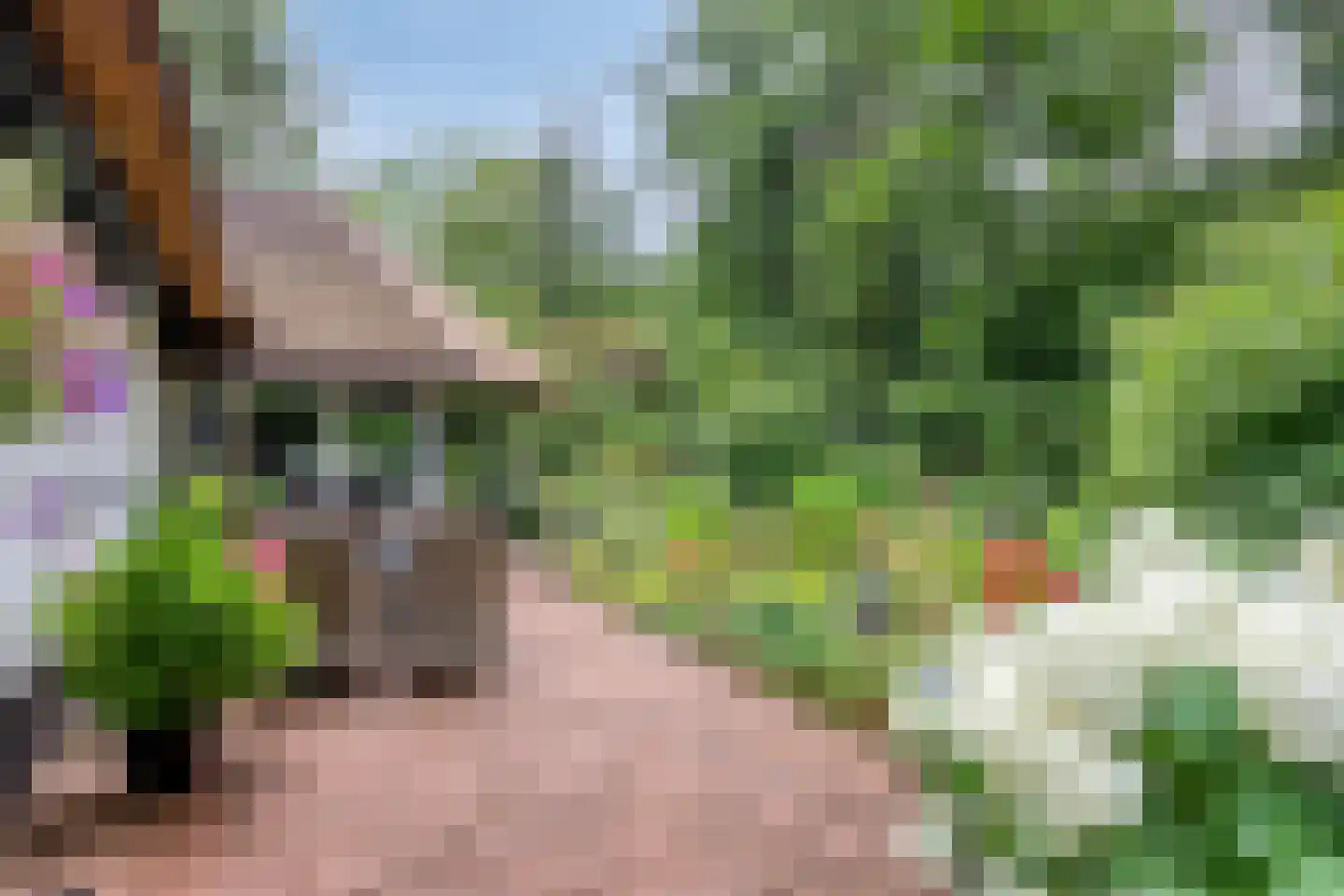 Eekhoornweg 2 Epe thumbnail 33