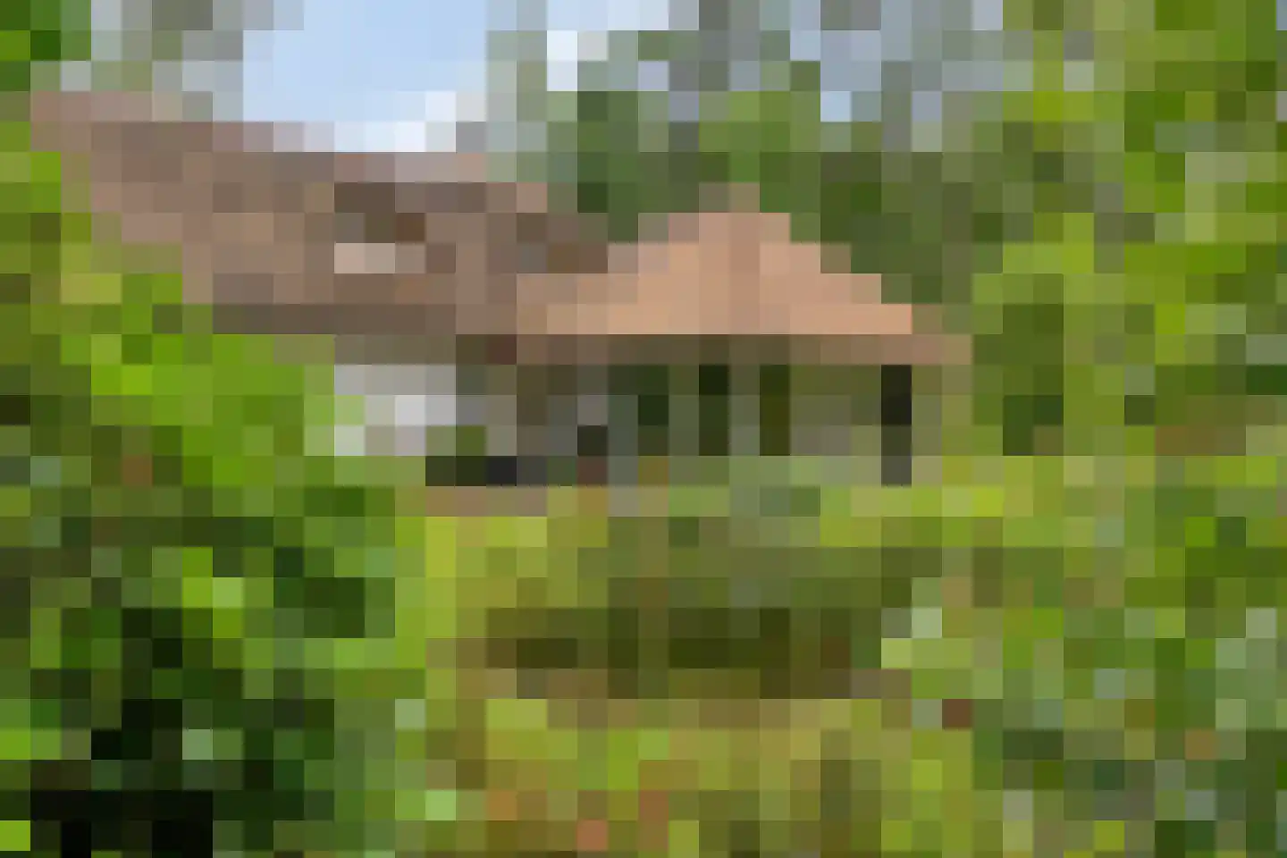 Eekhoornweg 2 Epe thumbnail 35