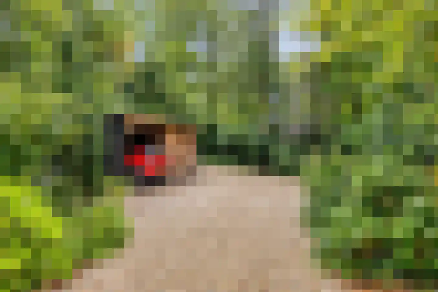 Eekhoornweg 2 Epe thumbnail 37