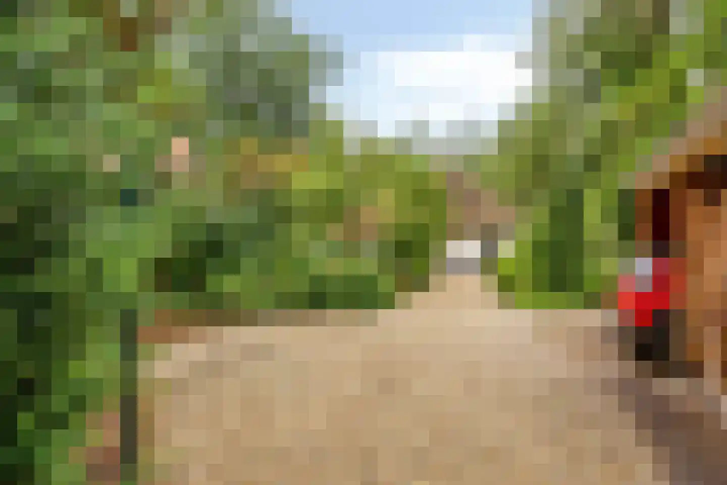 Eekhoornweg 2 Epe thumbnail 40