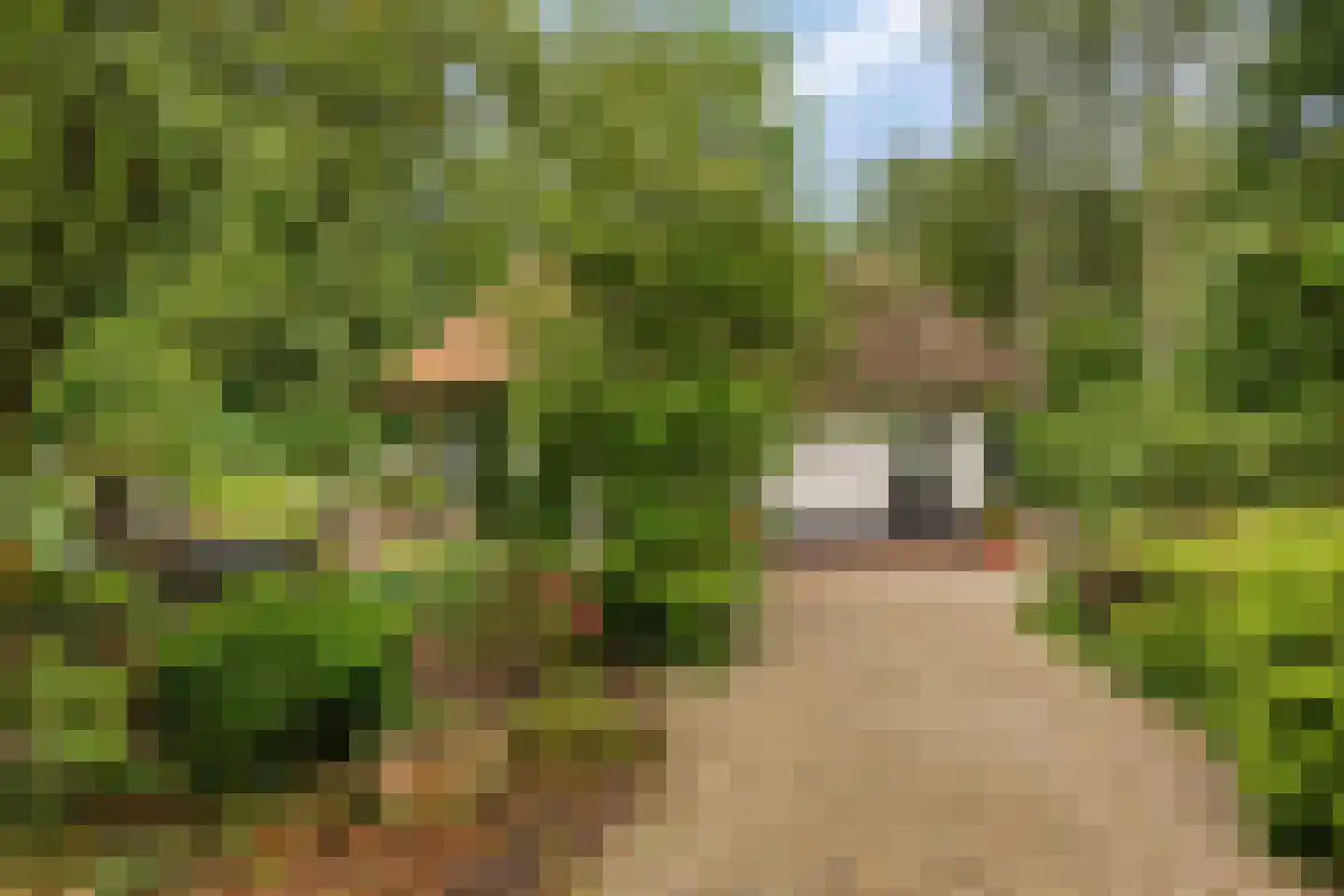 Eekhoornweg 2 Epe thumbnail 41