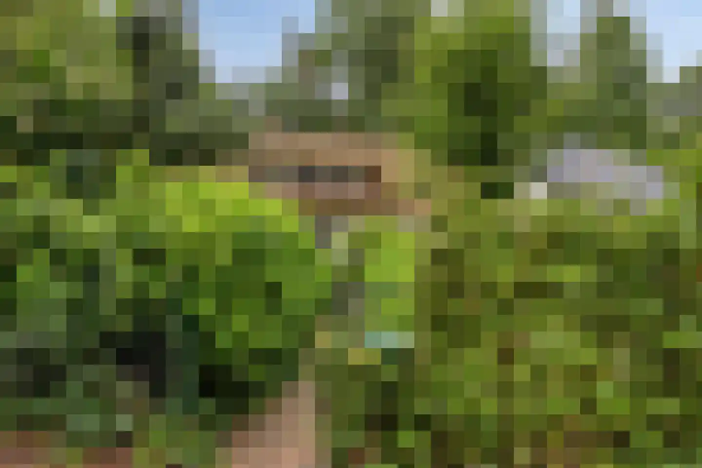 Eekhoornweg 2 Epe thumbnail 42