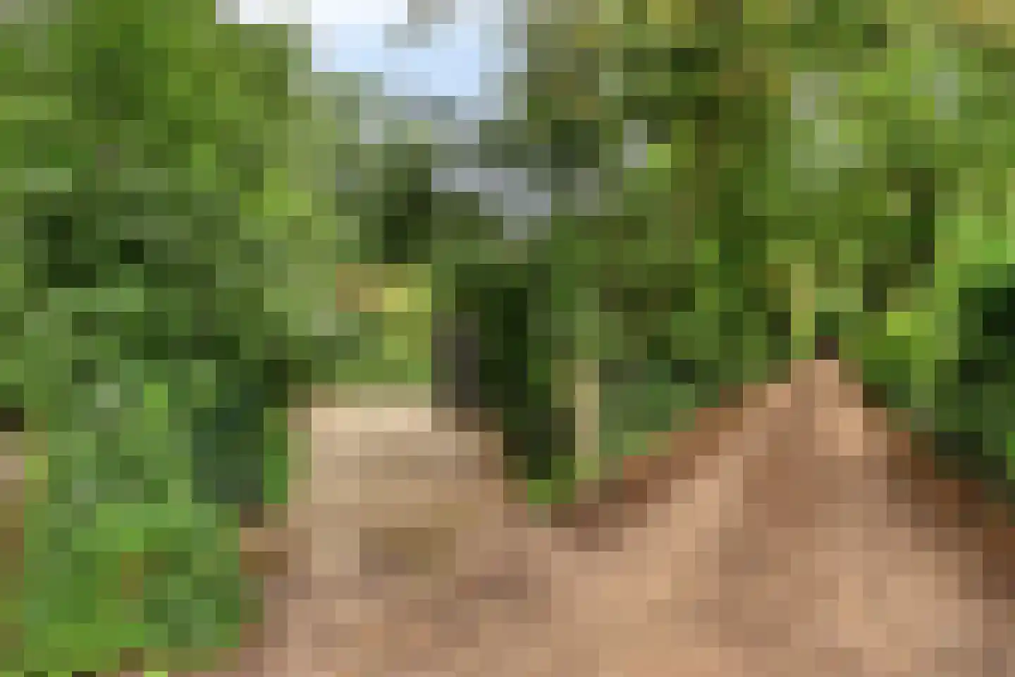 Eekhoornweg 2 Epe thumbnail 43