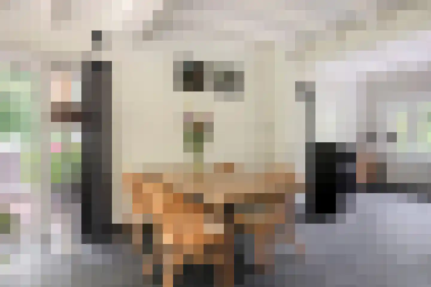 Eekhoornweg 2 Epe thumbnail 9