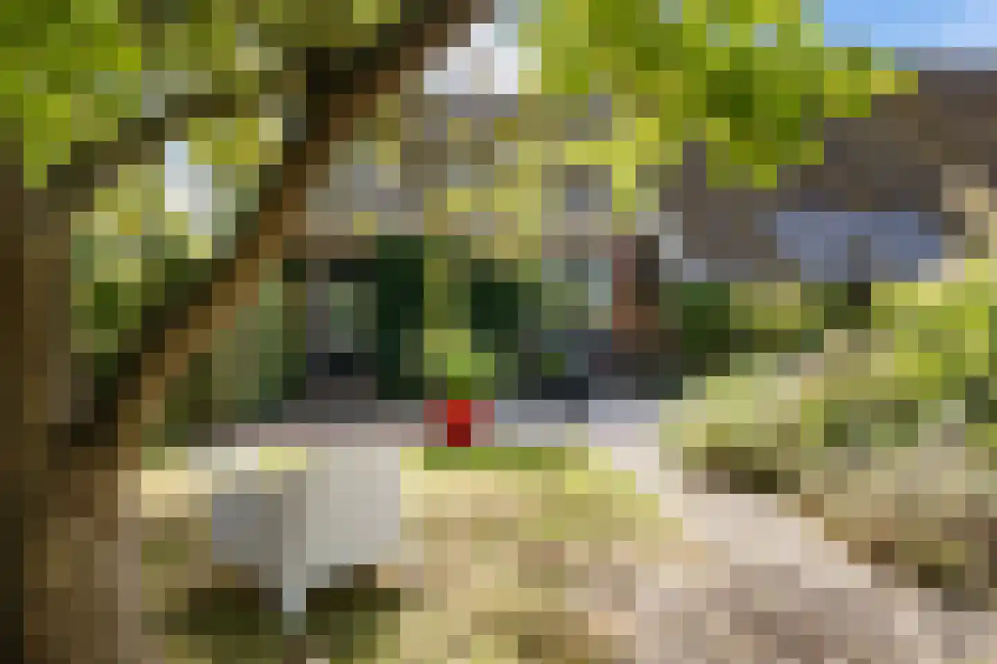 Eekhoutswijk 9 Smilde thumbnail 10