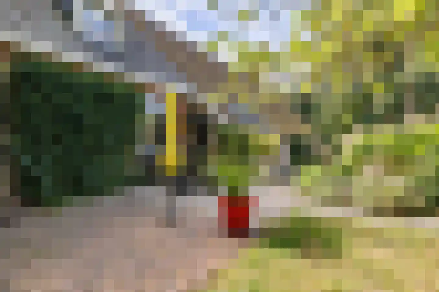 Eekhoutswijk 9 Smilde thumbnail 11