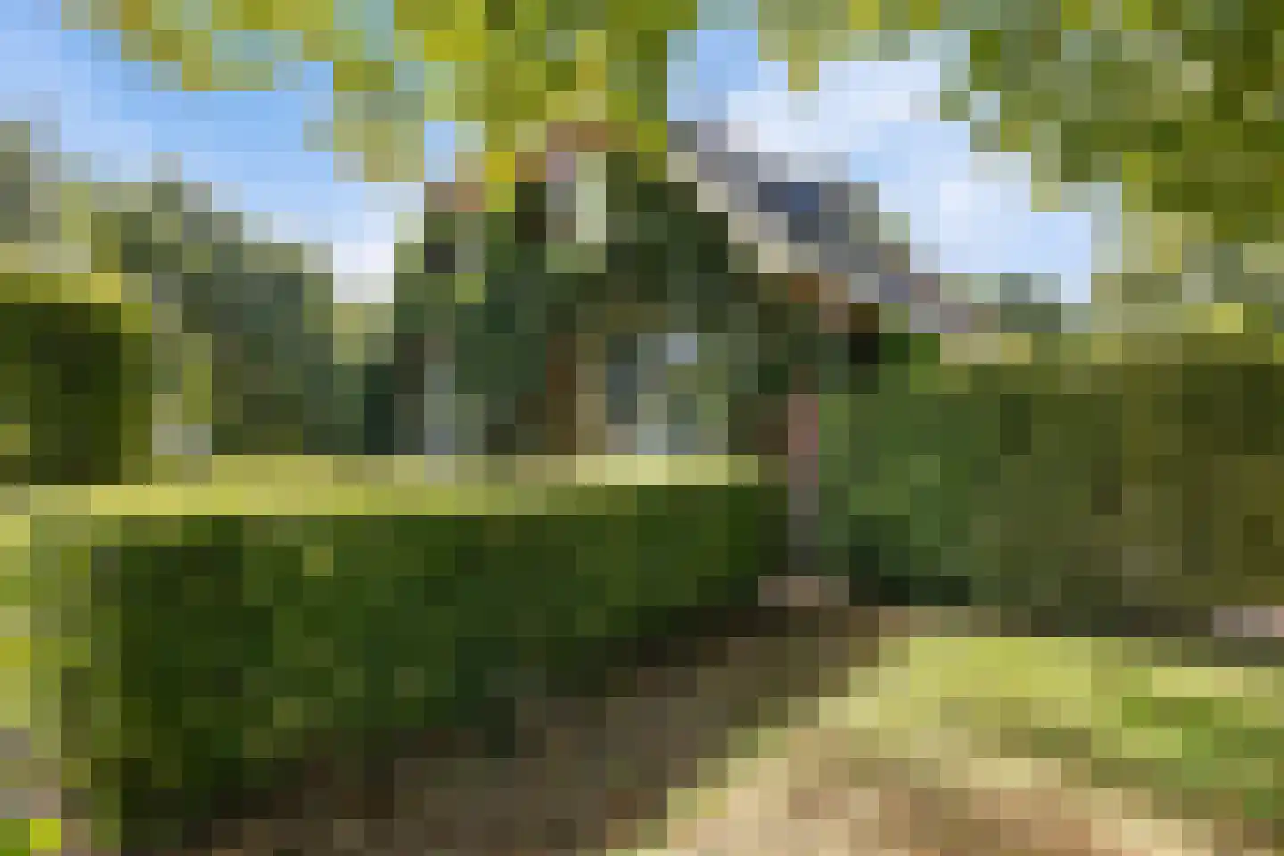 Eekhoutswijk 9 Smilde thumbnail 12