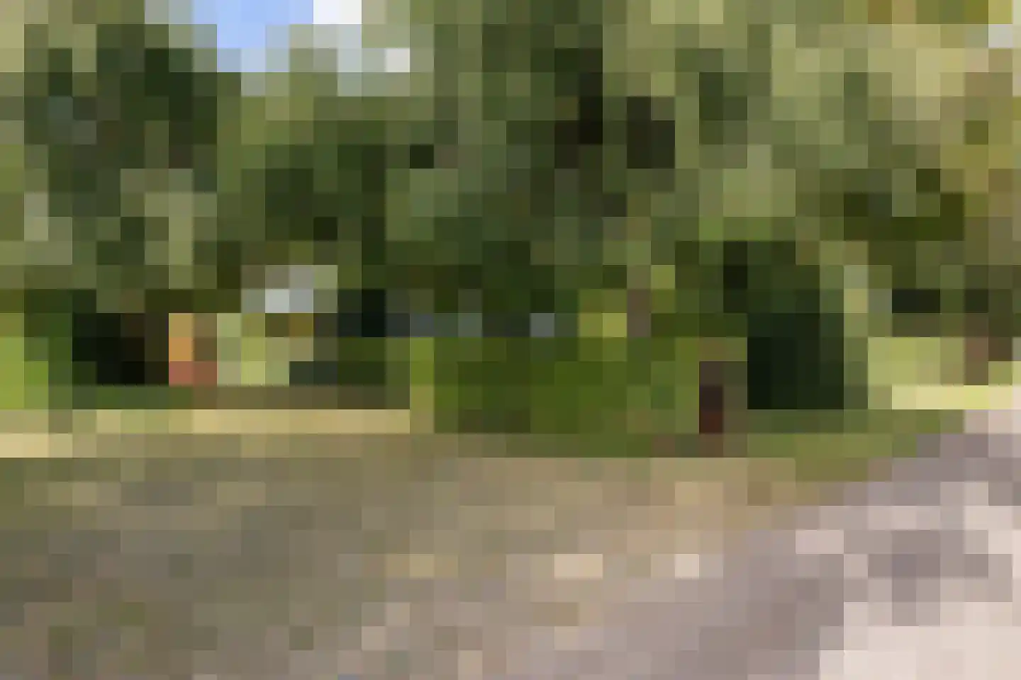 Eekhoutswijk 9 Smilde thumbnail 13