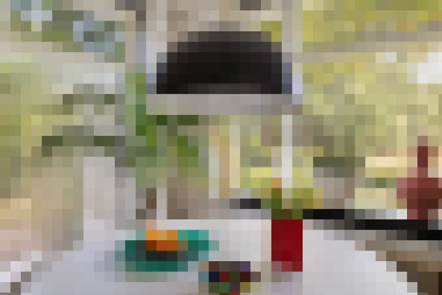Eekhoutswijk 9 Smilde thumbnail 20