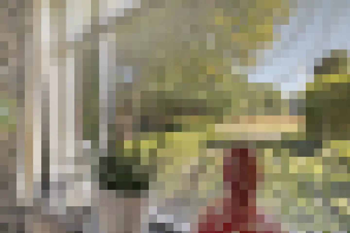 Eekhoutswijk 9 Smilde thumbnail 21
