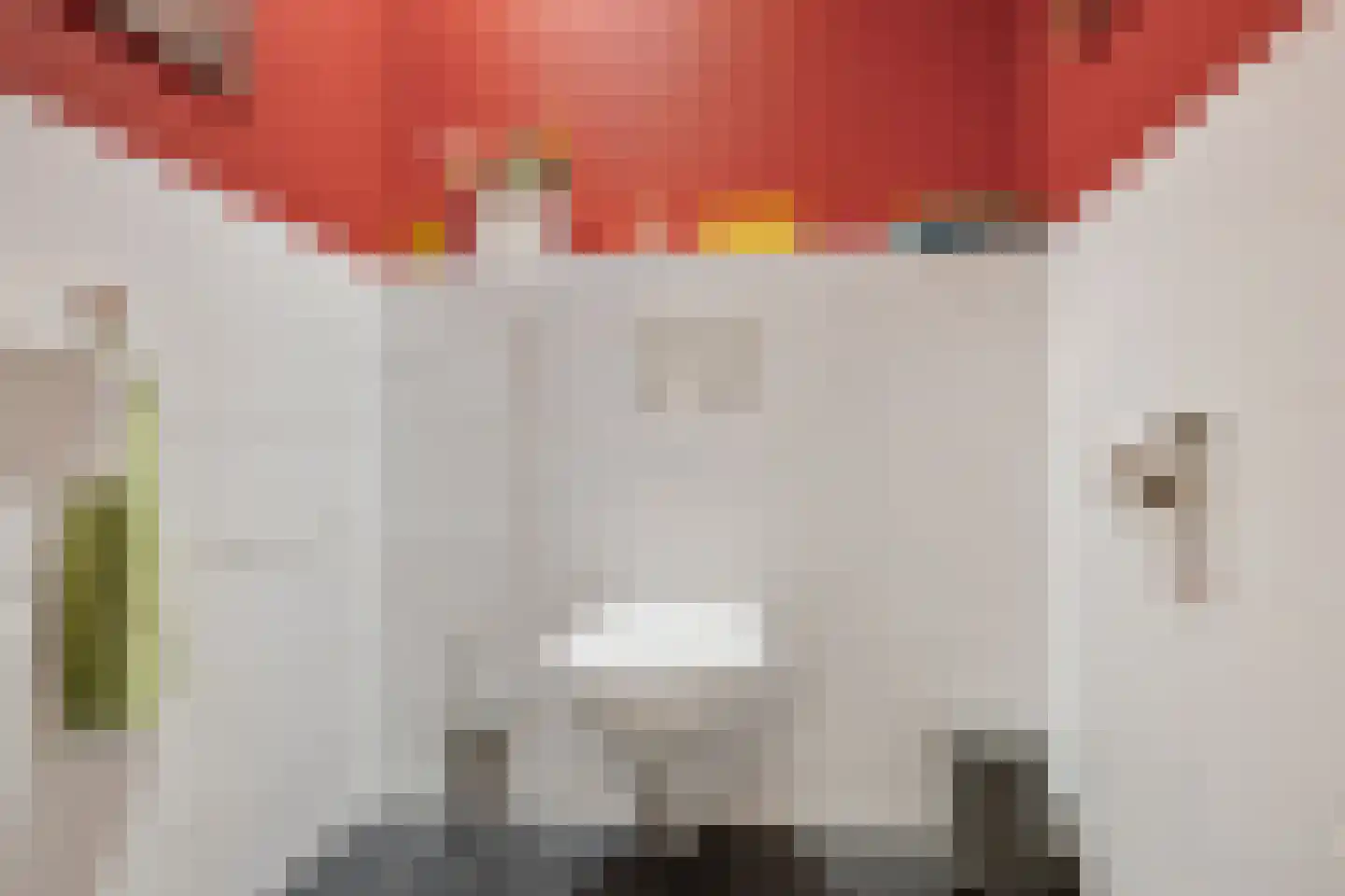 Eekhoutswijk 9 Smilde thumbnail 30