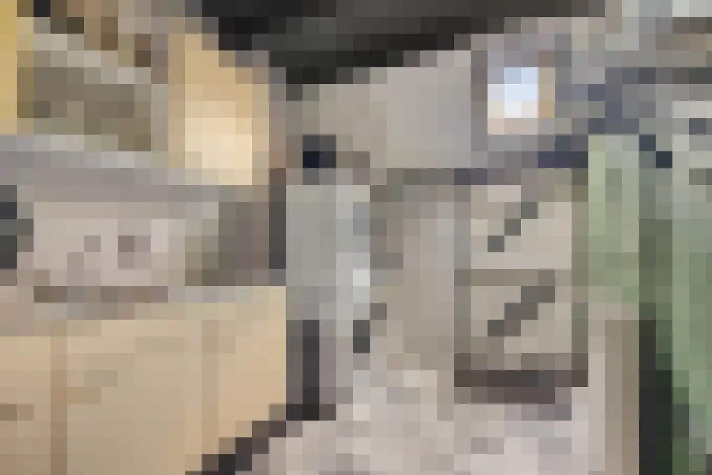Eekhoutswijk 9 Smilde thumbnail 31