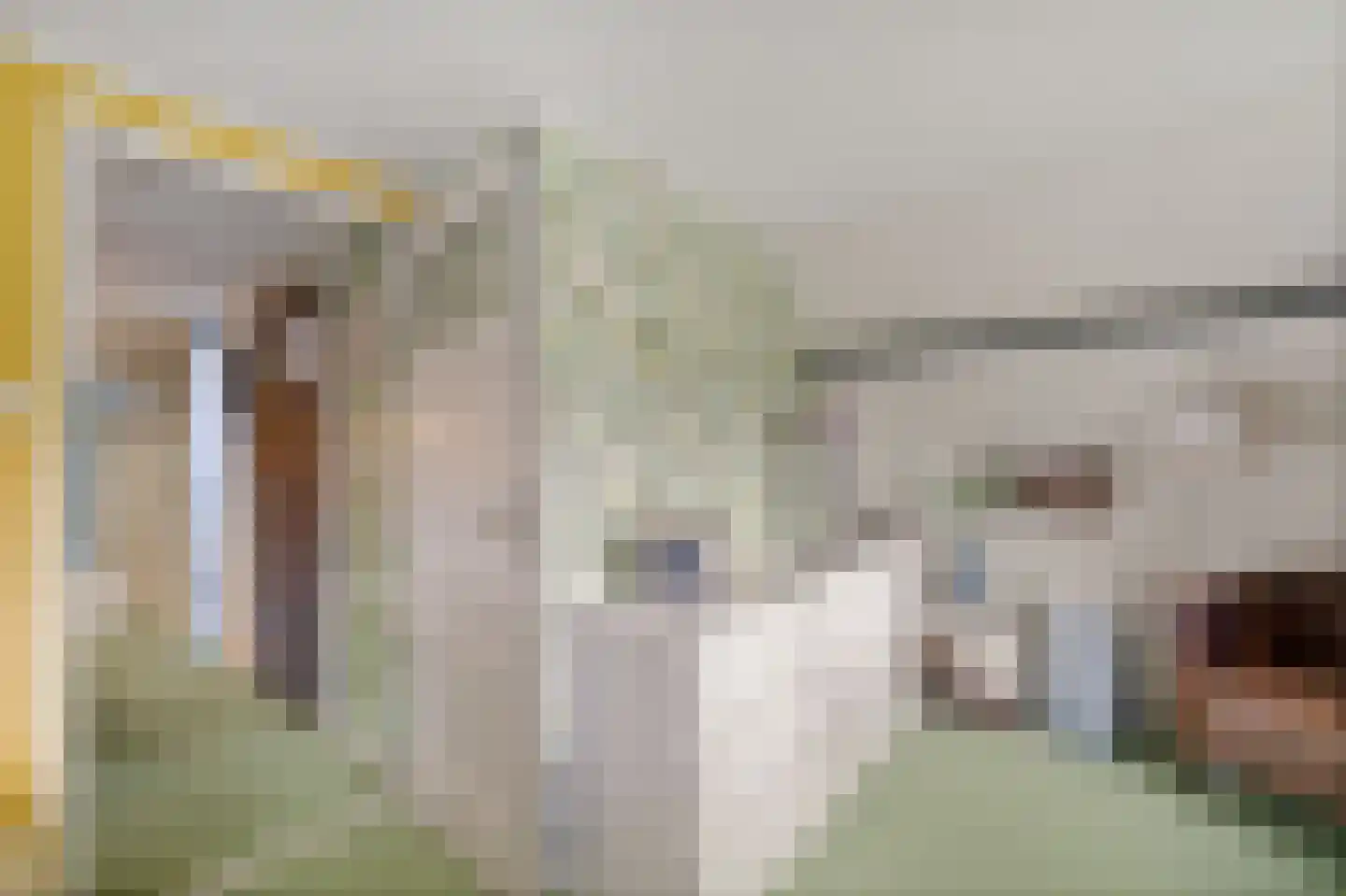Eekhoutswijk 9 Smilde thumbnail 34