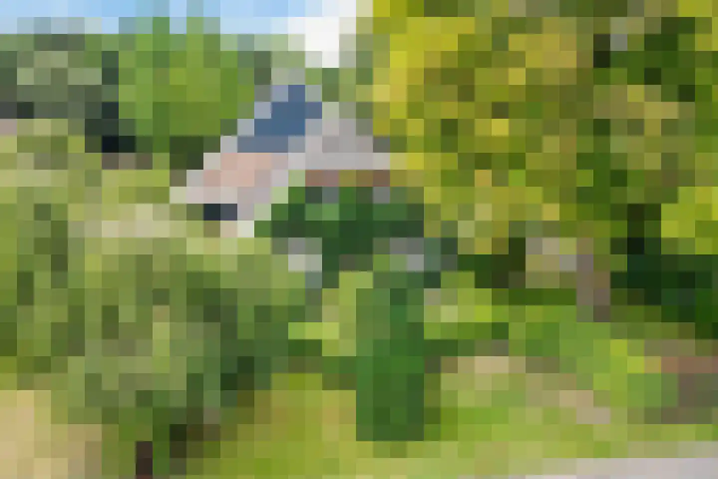 Eekhoutswijk 9 Smilde thumbnail 4