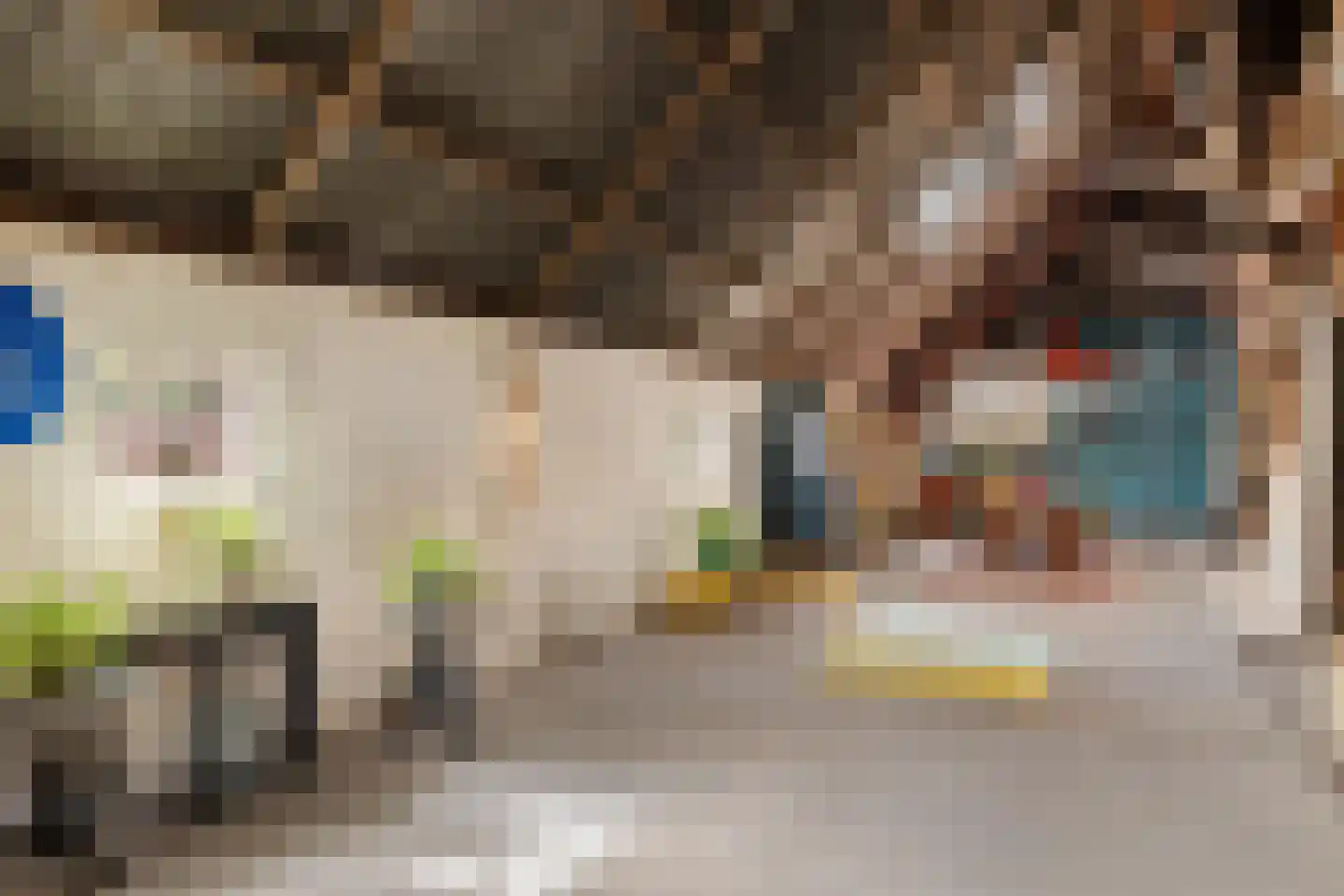 Eekhoutswijk 9 Smilde thumbnail 41