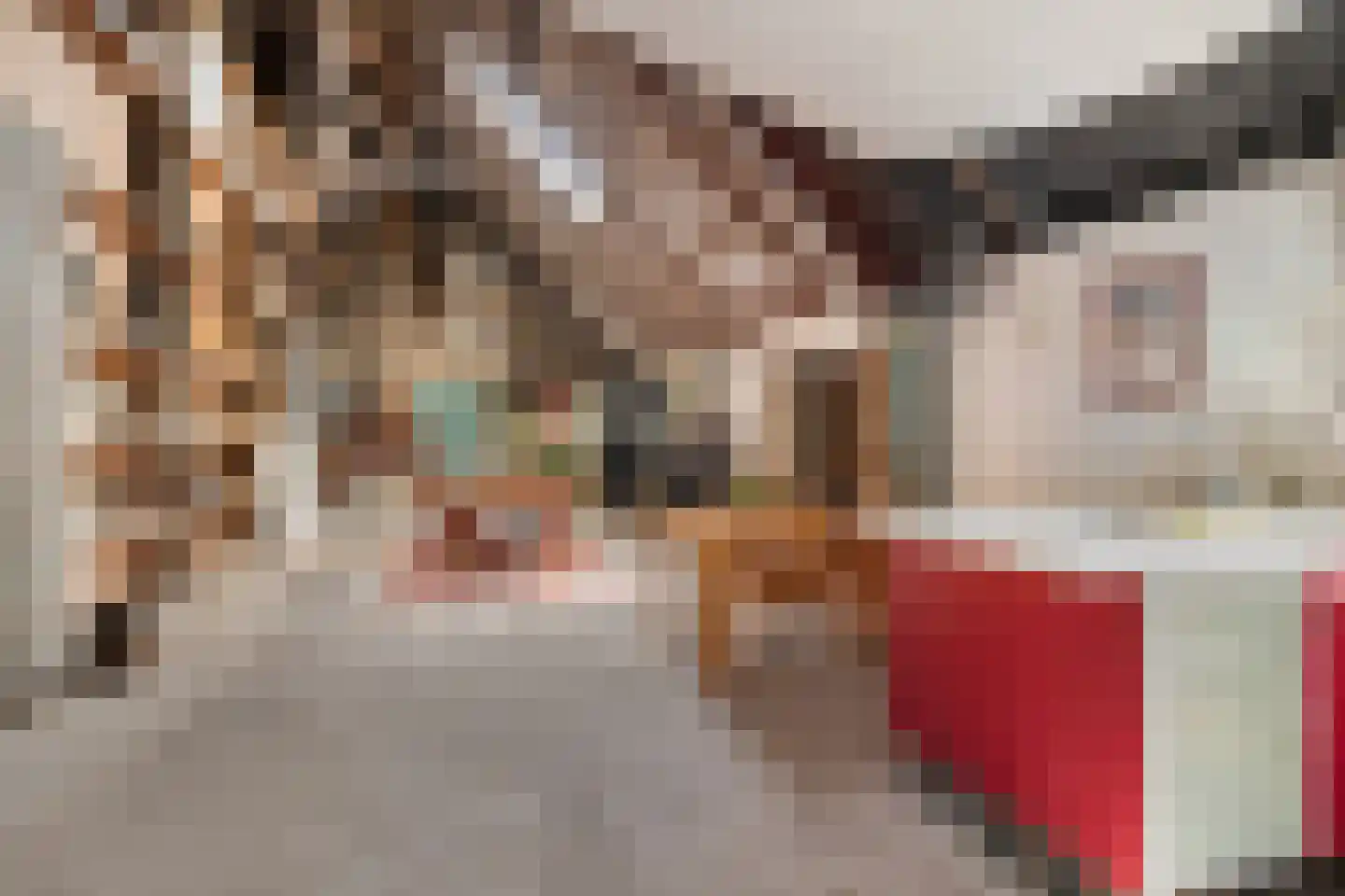 Eekhoutswijk 9 Smilde thumbnail 47