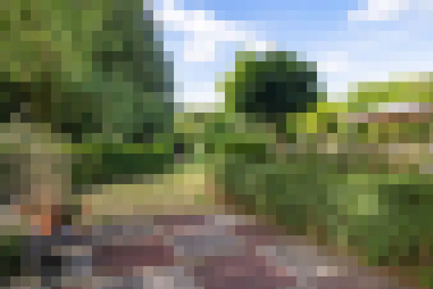 Eekhoutswijk 9 Smilde thumbnail 49
