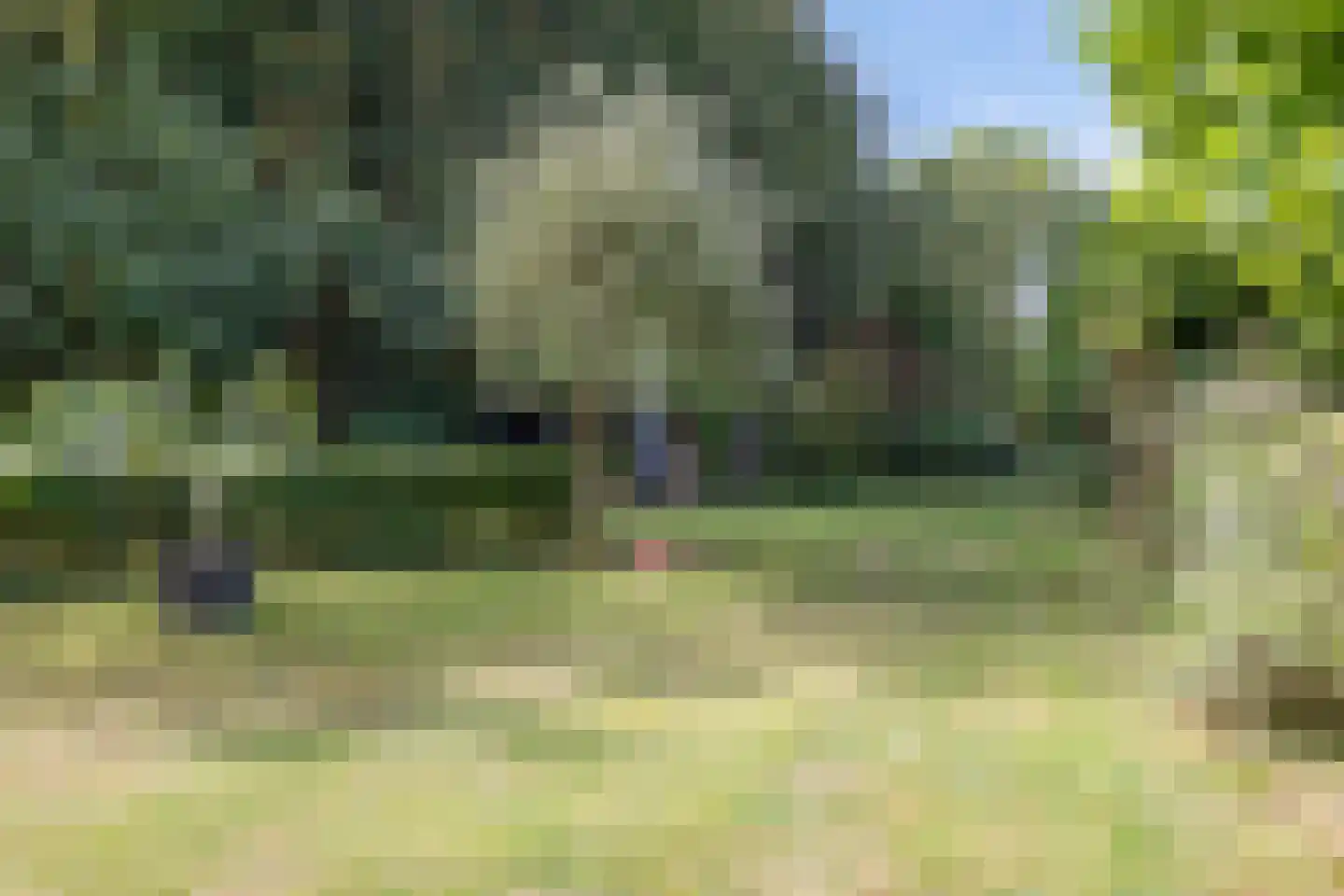 Eekhoutswijk 9 Smilde thumbnail 52