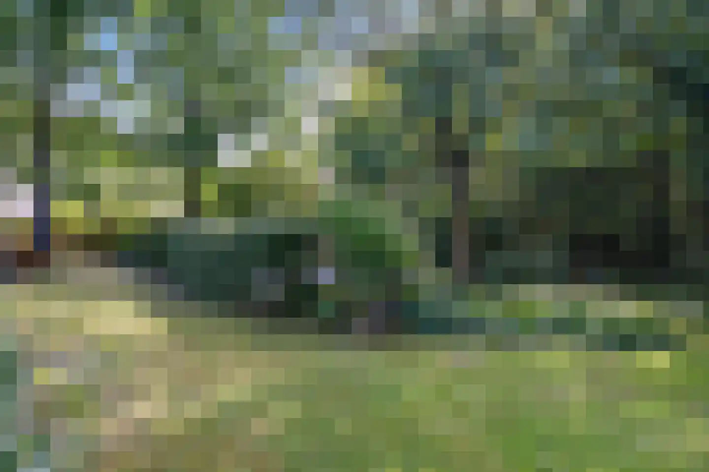 Eekhoutswijk 9 Smilde thumbnail 53