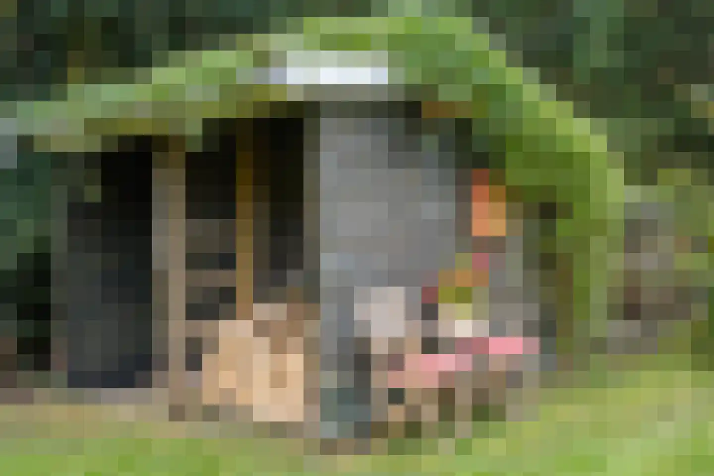 Eekhoutswijk 9 Smilde thumbnail 54