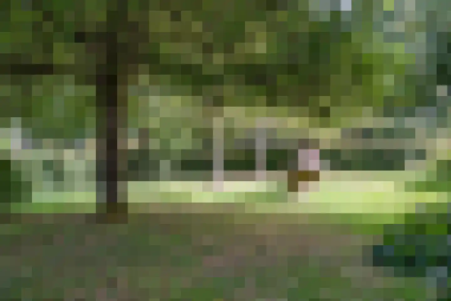 Eekhoutswijk 9 Smilde thumbnail 55