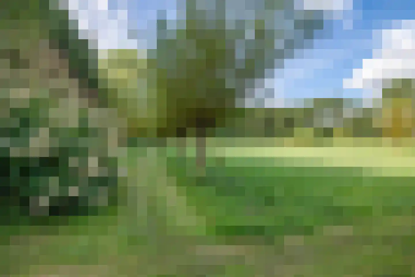 Eekhoutswijk 9 Smilde thumbnail 57