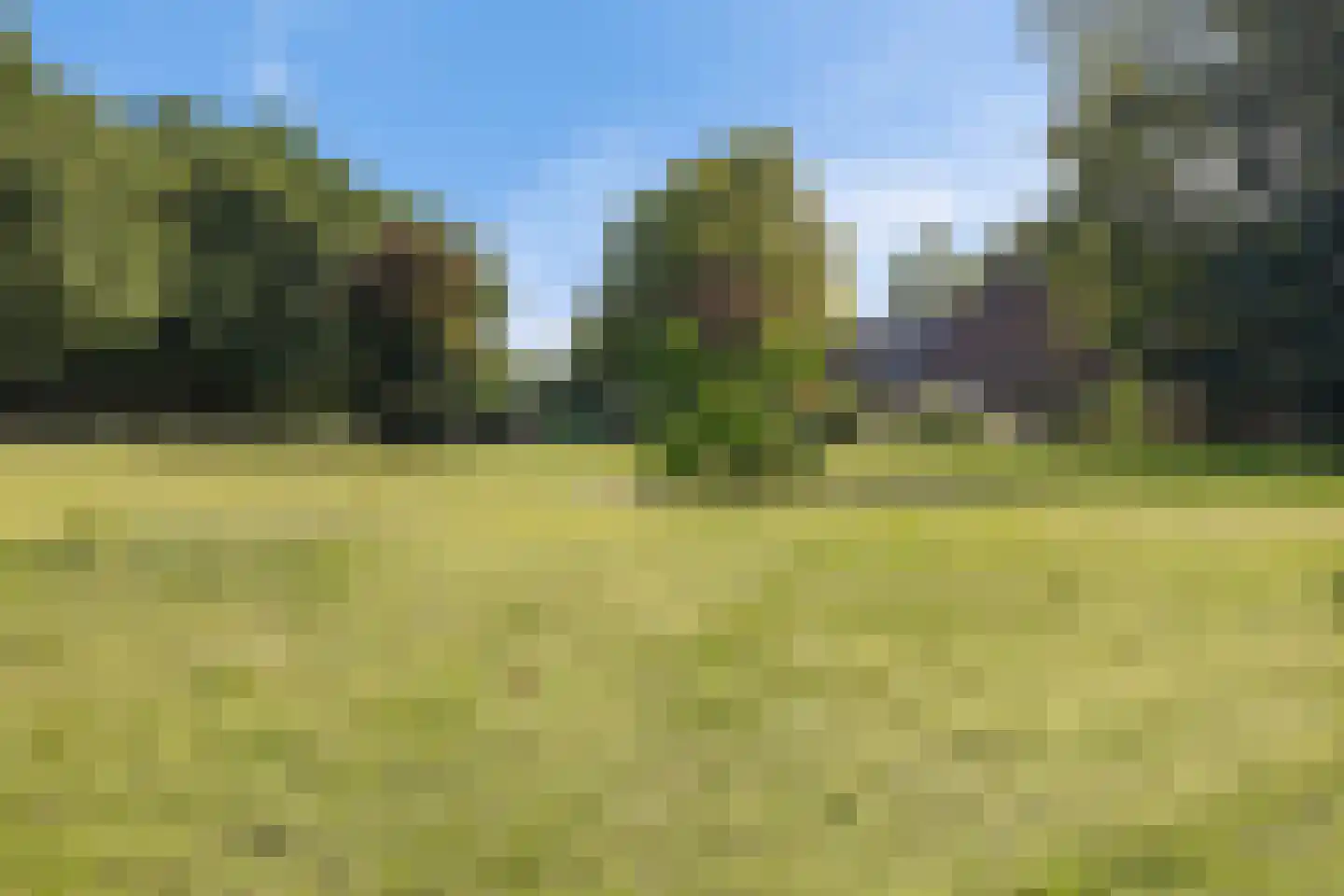 Eekhoutswijk 9 Smilde thumbnail 59